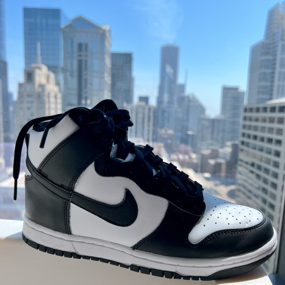 Nike Dunk Panda Hightop